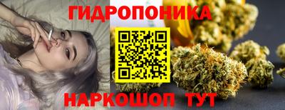 дмт Сланцы