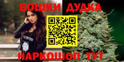 дмт Сланцы