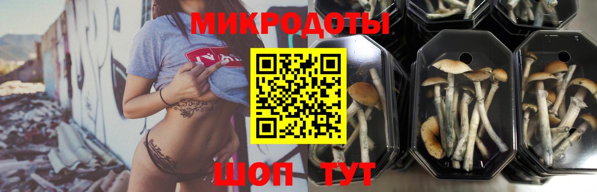 Галлюциногенные грибы мухоморы  Вход с VPN  Моздок  Псилоцибиновые грибы Psilocybine cubensis 